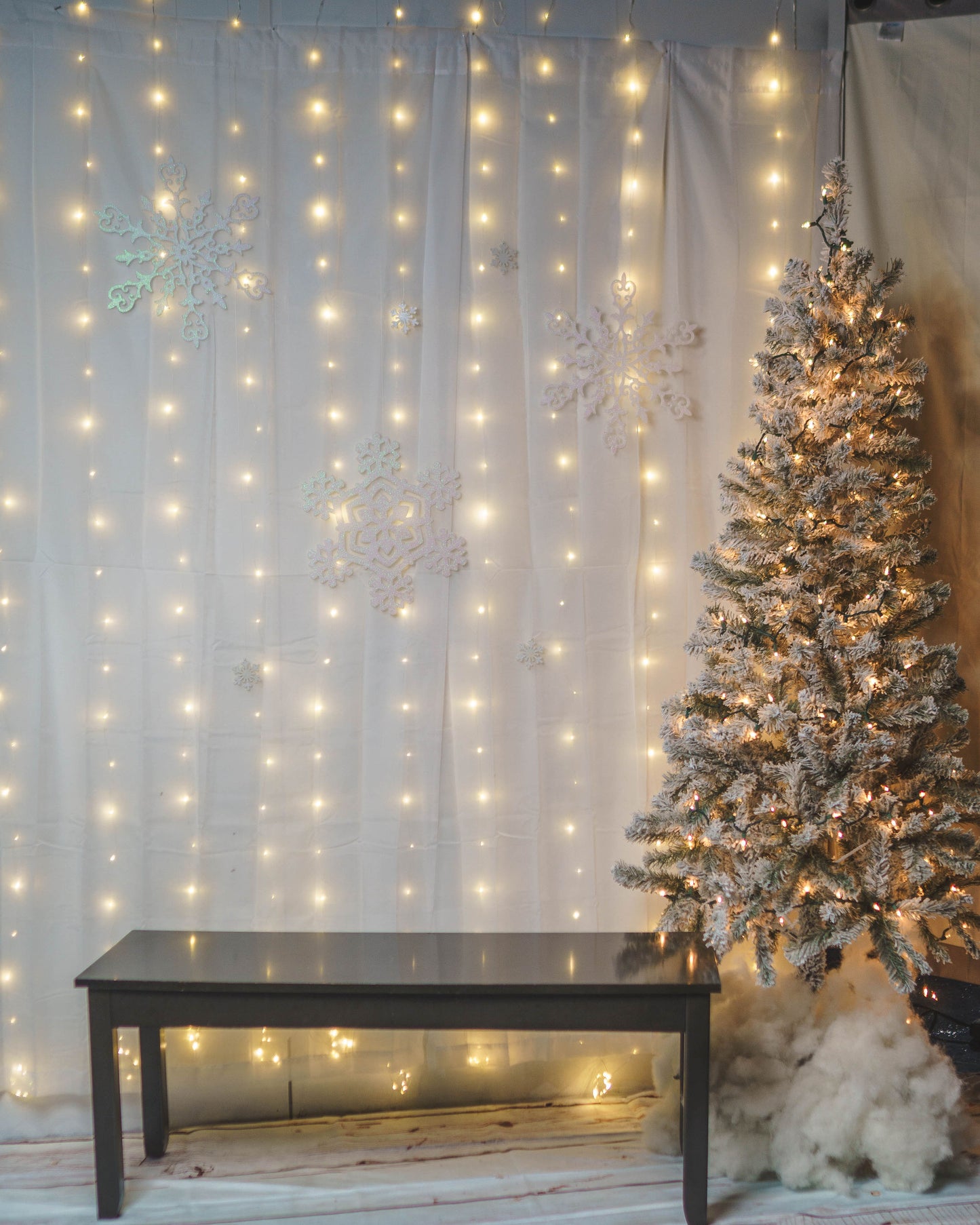 Christmas Photoshoot