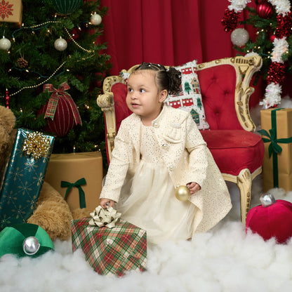 Holiday Family Photoshoot - Christmas Mini Session